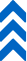 Exclusive Support Arrow